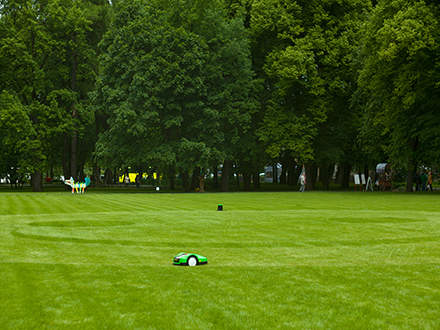 : Робот-газонокосилка VIKING iMow за фигурной стрижкой газона на Масленом лугу Михайловского сада. 