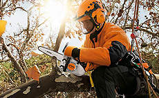 STIHL MS 150 TC-E