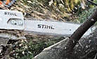 Пильная цепь STIHL .325