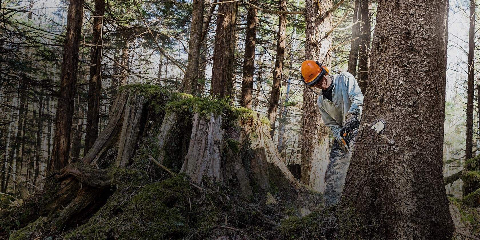 У STIHL MS 462 тонкая, светлая крышка цепной звёздочки со встроенными направляющими, для уменьшения прикладываемых для обрезки сучьев усилий и упрощения управления бензопилой в стволе.